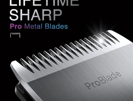 Braun Electric Shaver – Braun Electric Shaver Series 4 – Clean Blades/Heads